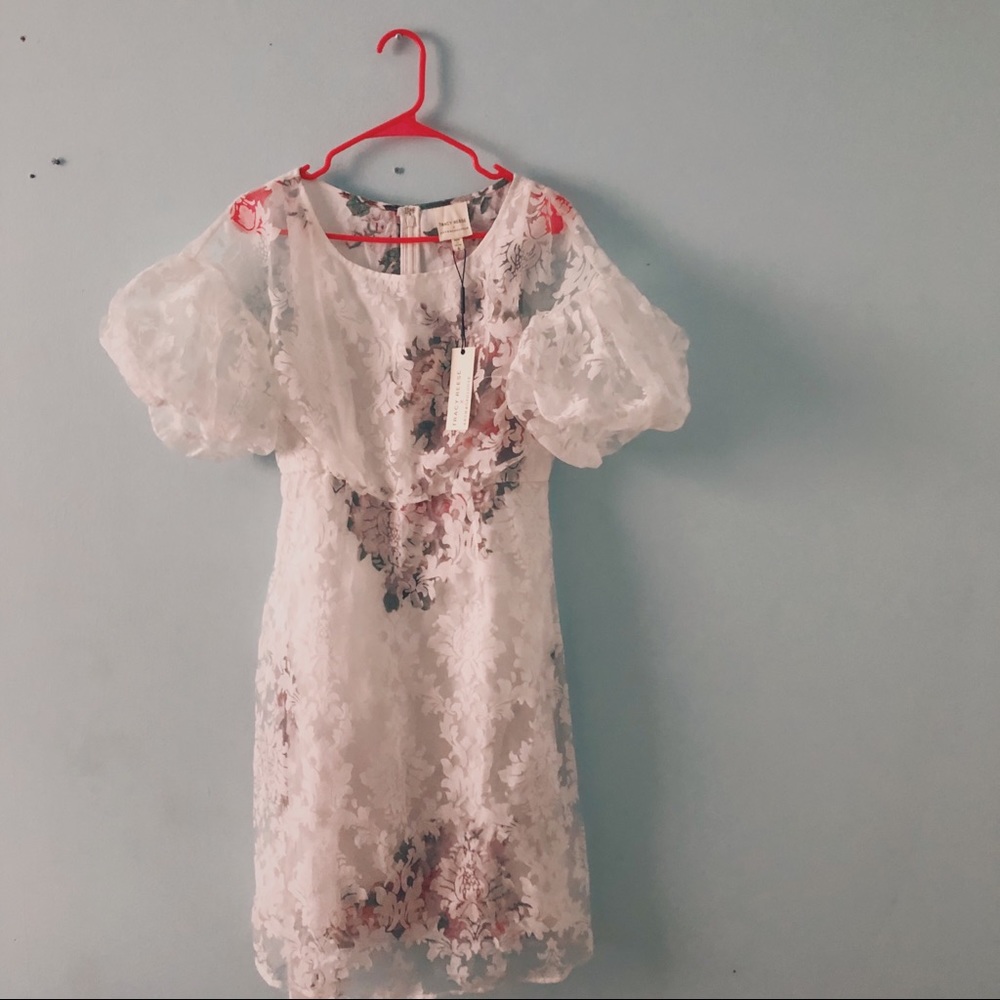 New Anthropologie Tracy Reese Dress